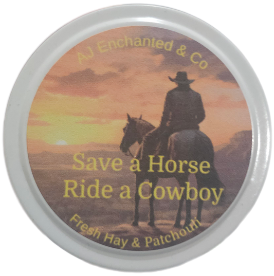 Save a horse, Ride a cowboy